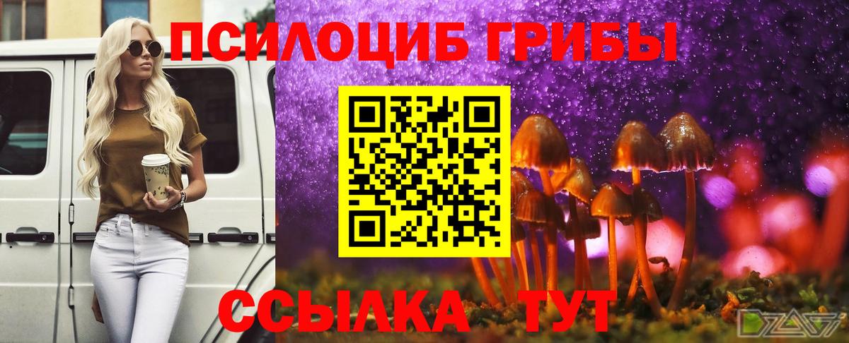 Камень-на-Оби  Галлюциногенные грибы Magic Shrooms  Вход с VPN 