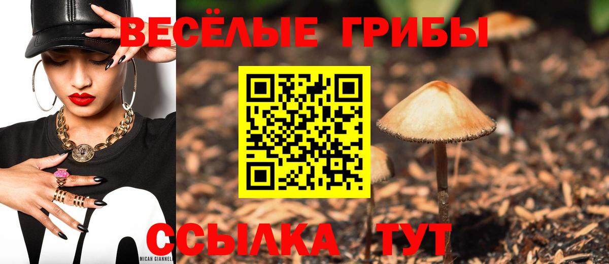 Бошки Шишки  Камень-на-Оби  ТГК  Codein  Метадон  Кокаин  Вход с VPN  Гашиш  Меф МЯУ МЯУ   Героин 